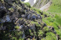 086 - Lac de la Muzelle et du Lauvitel